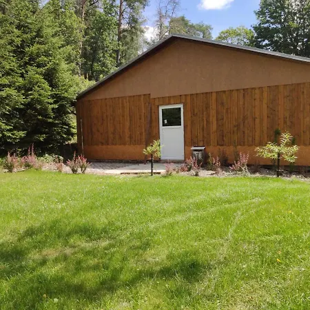 Karolina Kamp alanı